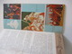 Delcampe - Fascicule Touristique  à  52 Pages + Carte/En Anglais/INDE/Printed In India/Calcutta/1967  DT52 - Tourism Brochures