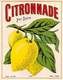 D8967 "SCIROPPO - CITRONNADE - PURE SUCRE - ANNO 1930  ".  ETICHETTA ORIGINALE - Fruits & Vegetables