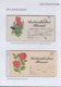 1994-EP-41 CUBA (LG1529) PERIODO ESPECIAL POSTAL STATIONERY COLLECTION ERROR MOTHER DAY 1994. - Cartas & Documentos