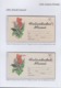 1994-EP-41 CUBA (LG1529) PERIODO ESPECIAL POSTAL STATIONERY COLLECTION ERROR MOTHER DAY 1994. - Cartas & Documentos