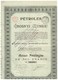 Ancienne Action - Pétroles De Grosnyi - Titre De 1921 -Titre N°28484 - Russie