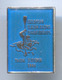 Rowing Canoe Kayak - European Championships 2005. TACEN Slovenia, Enamel Pin, Badge, Abzeichen - Roeisport