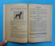 Delcampe - AUSTRIA 1936. INTERNATIONAL DOG SHOW VIENNA ( Internationale Hundeausstellung Wien 1936. Osterreich ) Hund Chien Cane RR - Catalogues