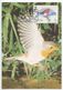 Malta 1987 FDC Scott 690 Maxicard Malta Ornithological Society 25th Anniversary - Malta