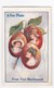 Port MacDonnell South Australia, 'A Few Plums' Fold-out Images Under Flap, C1910s Vintage Postcard - Other & Unclassified