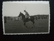 Delcampe - COURSE DE CHEVAUX AVEC OBSTACLES LOT 18 PHOTOS ORIGINALES LIEU ET ANNÉE PAS INDIQUÉS - Sport