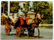 #485   Horse Carriage, Tourist Attraction In Cardenas - CUBA, Caribbean Sea  - Postcard - Autres & Non Classés