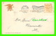 CHICAGO, IL - LINCOLN PARK, FOUNTAIN - ILLUSTRATED POST CARD CO - TRAVEL IN 1906 - UNDIVIDED BACK - - Chicago