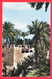 CPSM- GHARDAÏA - Habitations Dans Les Jardins** 2 SCANS - Ghardaïa