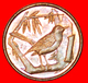 # BIRD (1992-1996): CAYMAN ISLANDS ★ 1 CENT 1992! LOW START ★ NO RESERVE! - Kaaiman Eilanden