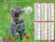 VAUCLUSE - CALENDRIER DE 2018 - ILLUSTRATIONS PETITS CHATS. - Big : 2001-...