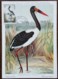 Niger - Carte Maximum / CM 1960 - YT N°99 - Protection De La Faune / Oiseaux / Jabirus - Niger (1960-...)
