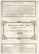 Ancienne Action - Hauts-Fourneaux De Biélaïa (Donetz) - Titre De 1899 - Titre N° 09.959 - Russie