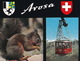 Arosa : Aerial Tramway LAW 4  - Squirrel / Hörnchen / Sciuridae  - (CH.) - Kabelbanen