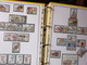 Delcampe - ESPAGNE - Belle Collection Des Années 1979 à 1996 Et 2006 à 2008 (partielles) - TP** Et BF**, Distributeurs, Carnets - Collections