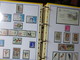 Delcampe - ESPAGNE - Belle Collection Des Années 1979 à 1996 Et 2006 à 2008 (partielles) - TP** Et BF**, Distributeurs, Carnets - Collections