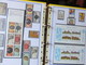 Delcampe - ESPAGNE - Belle Collection Des Années 1979 à 1996 Et 2006 à 2008 (partielles) - TP** Et BF**, Distributeurs, Carnets - Collections