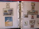 Delcampe - ESPAGNE - Belle Collection Des Années 1979 à 1996 Et 2006 à 2008 (partielles) - TP** Et BF**, Distributeurs, Carnets - Collections