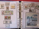 Delcampe - ESPAGNE - Belle Collection Des Années 1979 à 1996 Et 2006 à 2008 (partielles) - TP** Et BF**, Distributeurs, Carnets - Collections