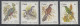 D90507 Ciskei South Africa 1981 MNH COMPLETE BIRDS DEFINITIVE Parrots Owls Doves - Afrique Du Sud Afrika RSA Sudafrika - Ciskei