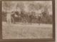 Transports - Attelage Voiture Calèche Cheval - Cocher Militaire - Photographie - 1915 - Otros & Sin Clasificación