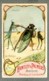 Delcampe - Serie 12 CHROMOS HUNTLEY & PALMERS MOIS 12 MONTHS Animaux Humanises Human Animals Monde Inverse Old Trade Cards Set - Autres & Non Classés