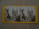 CARTE STEREOSCOPIQUE CATHEDRALE D'ANGERS VUE DE FRANCE - Stereoscope Cards