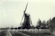 TURNHOUT (Antwerpen) - Molen/moulin - Zeldzame Oude Opname Van De Verdwenen Molen Jespers Ca. 1900. TOP! - Turnhout