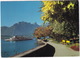 Oberhofen Am Thunersee: SALONBOOT - Strand-Promenade, Stockhorn - (Suisse/Schweiz) - Oberhofen Am Thunersee