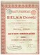 Lot De 3 Titres: 1 Charbonnages De Biélaïa 1895 -  2 Hauts Fourneaux De Bélaïa (action Ordinaire Et Privilégiée) 1899 - Russie