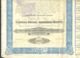 SHAREHOLDINGS, MINERVA MOTORS SHARES, COUPONS, 1920, BELGIUM - Cars