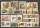 RONGEURS ET MUSTELIDES - Petit Lot De 44 Timbres Différents - SOURIS, ECUREUILS, HERISSONS, FOUINES, JUTIA  - 2 Scans... - Vrac (max 999 Timbres)