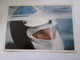 Photo  Collection ELF  21X30 Cm    PATRICK  DEPAILLER - Automobiles