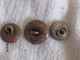Australia: 5 Buttons Australian Military Forces In East Africa 1941 - Knoppen