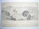 CHINE - CPA -  Carte De 1899 Postée De TSINGTAU Pour Shanghai - Lettres & Documents