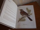 Album Chromos Images Vignettes Delhaize *** Les Oiseaux  -  Birds *** - Autres & Non Classés