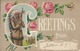 Postcard RA009913 - Greetings From... (Native / Indian / Flower) - Souvenir De...