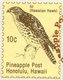 USA HAWAII 1981 Honolulu Pineapple Local Post FDC Cover Bird IO Hawaiian Hawk Falke Faucon Halcón - Eagles & Birds Of Prey