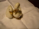 Entenpaar Aus Porzellan Mit Vergoldeten Schnäbeln Und Füßen  (728BW) Preis Reduziert - Sonstige & Ohne Zuordnung
