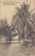 BELG. CONGO :1912: PWS/E.P./P.St.-ILLUSTR.** Nr.15 – 10 C. : PALMIERS,PALM-TREES, - Interi Postali