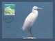 Singapore 1993 , Chinese Egret / China-Seidenreiher - WWF Official Maximum Card 10.11.1993 - Singapour (1959-...)