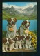 *Chiens St-Bernard Avec Petits* Ed. Kruger Nº 754-109. Fabricación Alemana. Nueva. - Perros