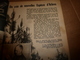 1951 MÉCANIQUE POPULAIRE:La Maison En Mélasse;Contre L'humidité ; Nouvelles Espèces D'arbres ; Automobile De Demain;etc - Otros & Sin Clasificación