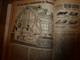 Delcampe - 1951 MÉCANIQUE POPULAIRE:La Maison En Mélasse;Contre L'humidité ; Nouvelles Espèces D'arbres ; Automobile De Demain;etc - Sonstige & Ohne Zuordnung