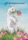 Postal Stationery - Dog - Westie Keeping Flowers In Mouth - Red Cross 1992 - Suomi Finland - Postage Paid - Entiers Postaux