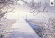 Postal Stationery - Winter Scene - Landscape - WWF Panda Logo - Suomi Finland - Postage Paid - Entiers Postaux