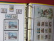 Delcampe - ESPAGNE - ALBUM N°3 - Année 1996 (partielle) à 2005 (complète) - TP** Et BF** - Quelques Carnets - Collections