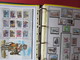 Delcampe - ESPAGNE - ALBUM N°3 - Année 1996 (partielle) à 2005 (complète) - TP** Et BF** - Quelques Carnets - Collections