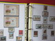 Delcampe - ESPAGNE - ALBUM N°3 - Année 1996 (partielle) à 2005 (complète) - TP** Et BF** - Quelques Carnets - Collections