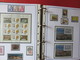 Delcampe - ESPAGNE - ALBUM N°3 - Année 1996 (partielle) à 2005 (complète) - TP** Et BF** - Quelques Carnets - Collections